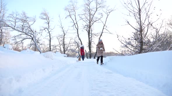 Children Play with Dog in Snow in Winter in Forest. Happy Family Walking Their Pet. Children Teens