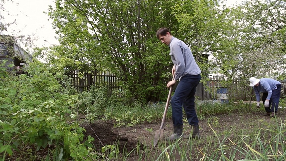Man Digging Shovel in the Garden