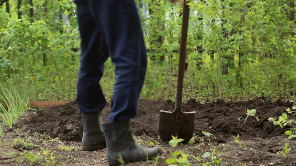 Man Digging Shovel in the Garden