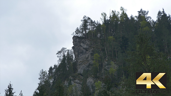 Mountain Cliff and Fir Trees