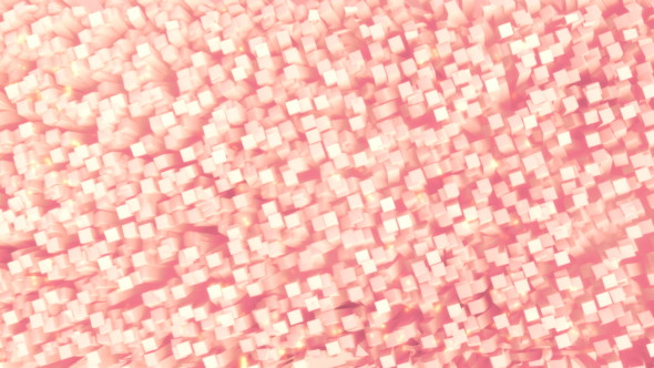 Flowers Pink Cube Stream