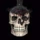 Skull and Hot Petroleum - VideoHive Item for Sale