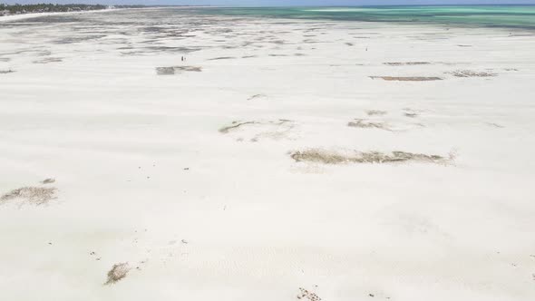 Low Tide in the Ocean Near the Coast of Zanzibar Island Tanzania