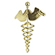 medical symbol - 3DOcean Item for Sale