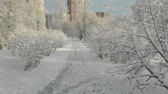 The Beginning Of Winter In The Park Of St. Petersburg.