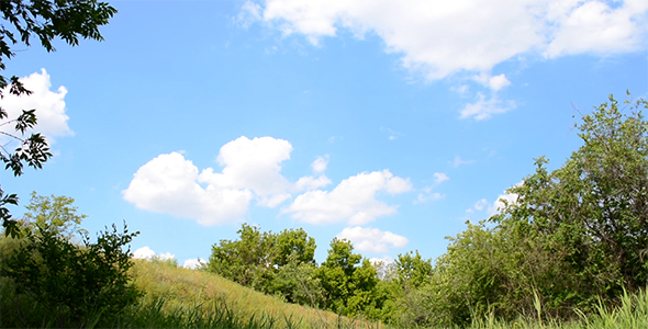 Clouds Over Trees