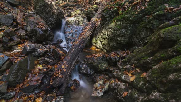 Mountains Creek in Colorful Autumn Forest Nature