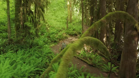 Excited Happy Woman Hiking Alone Magical Cinematic Dense Green Rainforest Moss