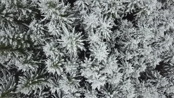 Weather Climate Change Nature Season Background alt