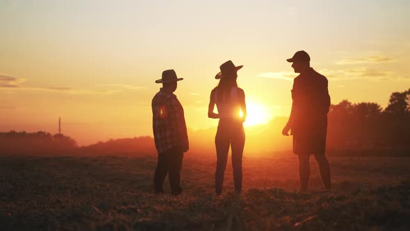 Rear View Silhouette Group of Three Farmers Friends Walking in Field at Sunset