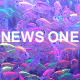 News One