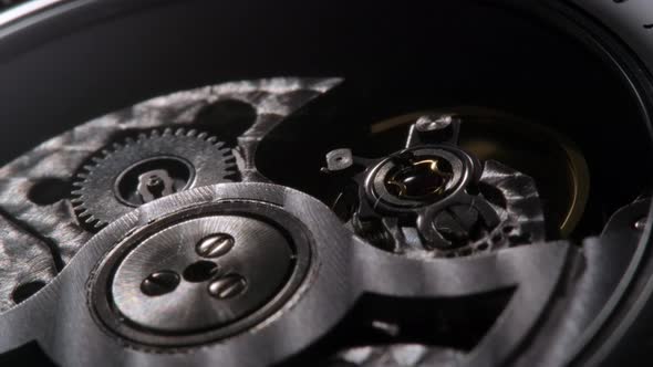 Full Open Mechanism of Swiss Watch