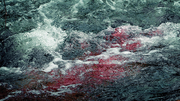 Blood In River Rapids