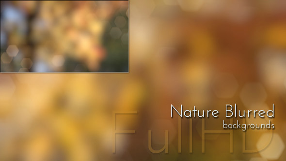 Blurred Nature Background