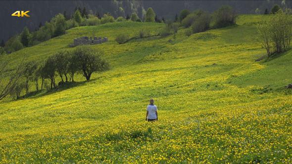 Woman Walking Among the Flowers