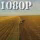 Flying over Wheat Field Harvester 3 - VideoHive Item for Sale