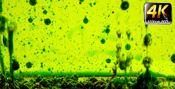 Bubbles in Oil Water Background 3