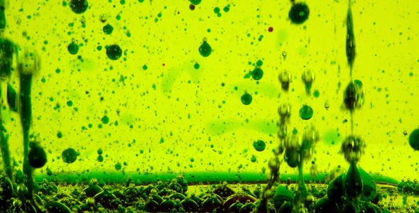 Bubbles in Oil Water Background 3