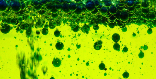 Bubbles in Oil Water Background 5