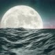Full Moon and Night Ocean  - VideoHive Item for Sale