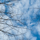 Sky with Clouds - VideoHive Item for Sale