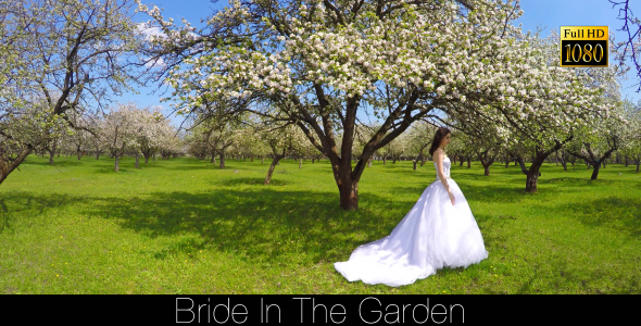Bride In The Garden 16