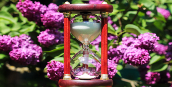 Hourglass On The Background Of Blooming Lilacs 2