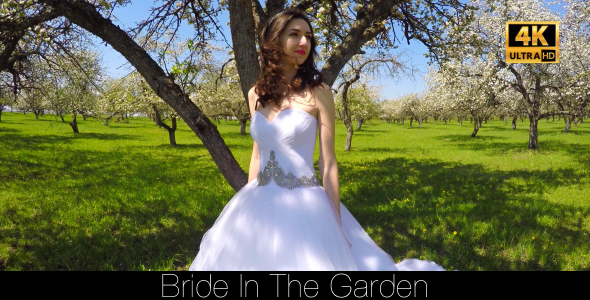 Bride Walks In The Garden 6