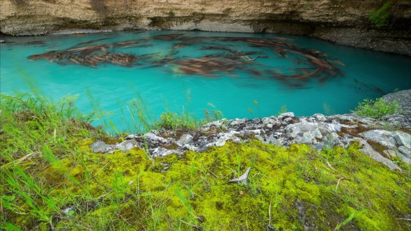 Logs Trees In The Blue Lake Canyon Aksu, Kazakhstan -  