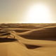 Man in the Desert - VideoHive Item for Sale