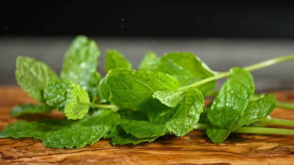 Super Slow Motion Shot of Fresh Mint Falling on Wooden Cutting Board at 1000Fps