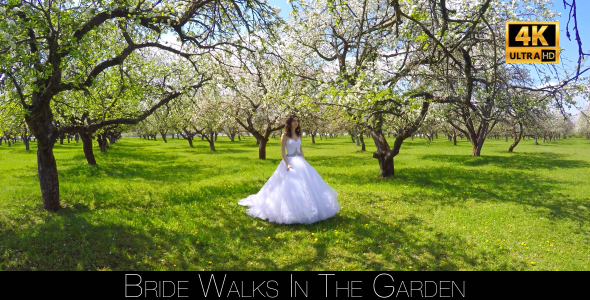 Bride Walks In The Garden 11