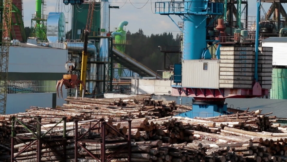 Modern Lumber Factory Crane Load Log Trucks