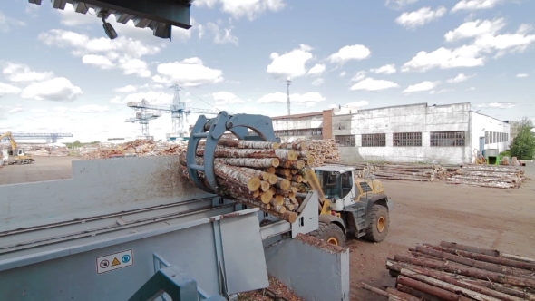 Lumber Industry Conveyors Of Logs Sorting Machine
