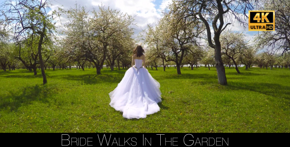 Bride Walks In The Garden 15