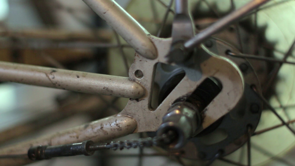 Bicycle Rear Wheel