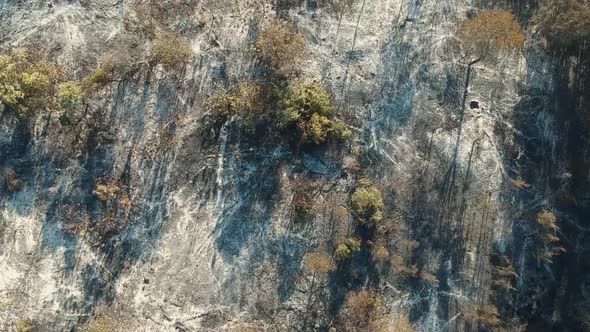 Aerial view of a recent fire close to a town