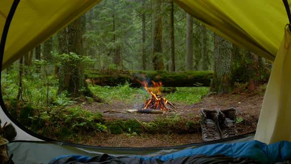 A View From a Tourist Tent to a Bonfire and a Magical Forest