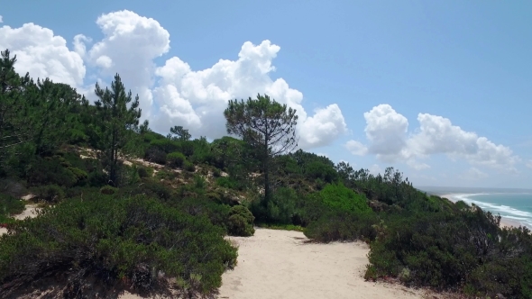 Walk Through Wooded Hills Near Shore Ocean