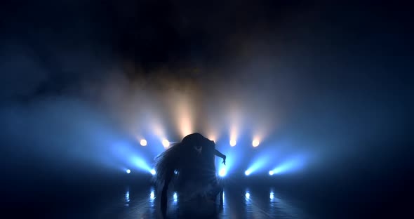 Silhouette of a Dancer in a White Fluffy Skirt in the Spotlight