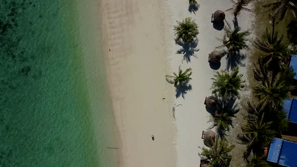 Aerial Top View of Woman in Dress Walking on Beach with White Sand