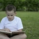 Boy Reading a Book Outdoors In a Park On The Grass. Positive Emotions - VideoHive Item for Sale