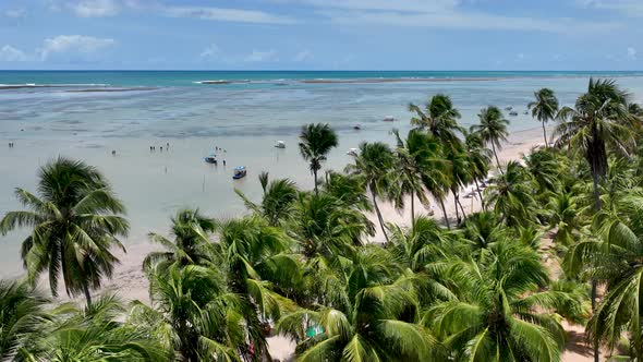 Patacho beach at Sao Miguel dos Milagres Alagoas Brazil.