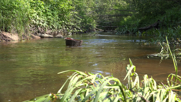US Military Helmet alt