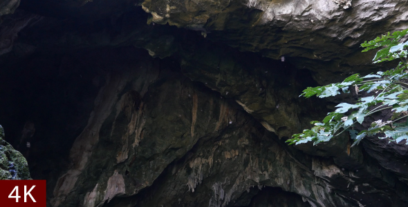 Birds In A Cave