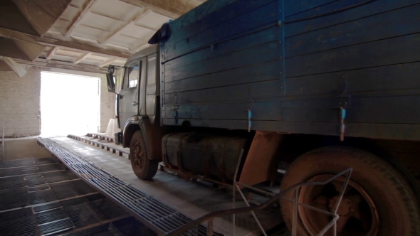 Unloading From The Truck Trailer After Harvest