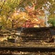 Beautiful view of the stairs in the city park in autumn. - VideoHive Item for Sale