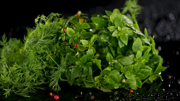 Fresh Basil on Black Surface