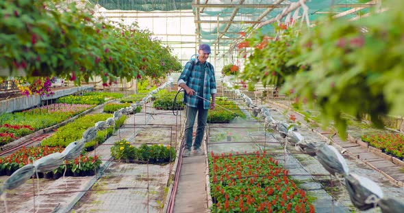 Gardener Watering Flowers on Farm