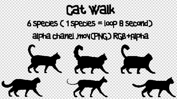 Cat Walk